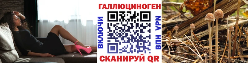 Галлюциногенные грибы мухоморы  MEGA tor  Буйнакск 