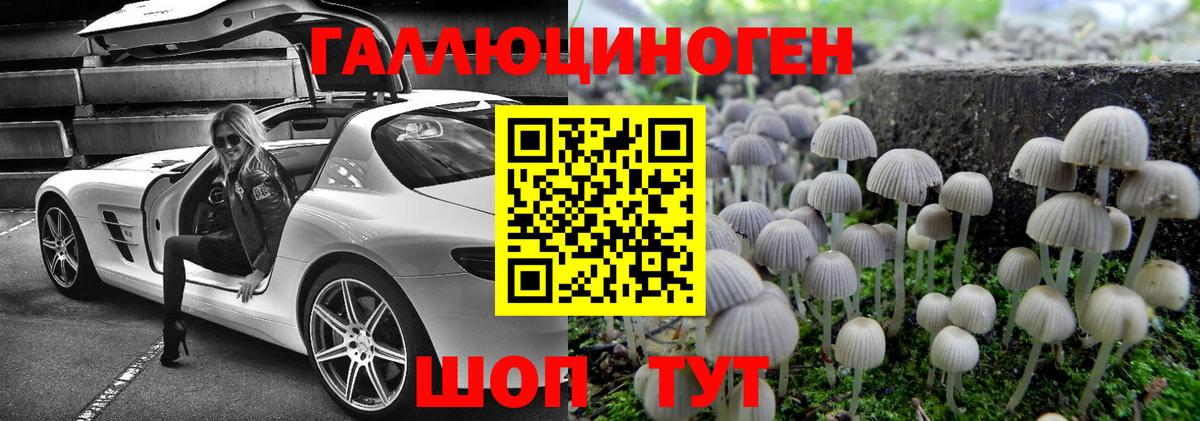 Псилоцибиновые грибы Cubensis  Галлюциногенные грибы мицелий  Буйнакск  Вход с VPN 