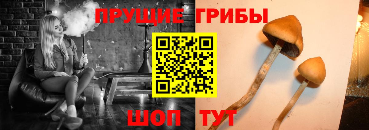 Псилоцибиновые грибы MAGIC MUSHROOMS Буйнакск