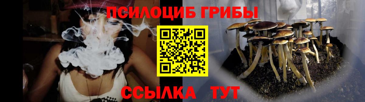 Псилоцибиновые грибы Psilocybine cubensis Буйнакск