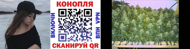 darknet какой сайт  Буйнакск  Конопля семена 